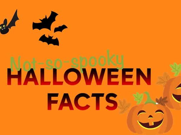 halloween-facts-how-to-celebrate-happy-halloween-2019-2