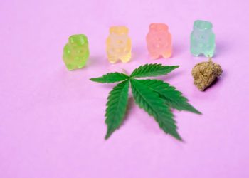 Top  Delta 9 Gummies to Choose and Buy Online