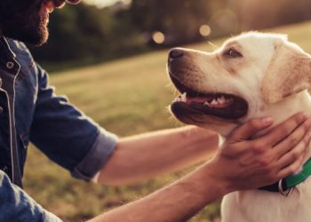 10 benefits of owning a pet